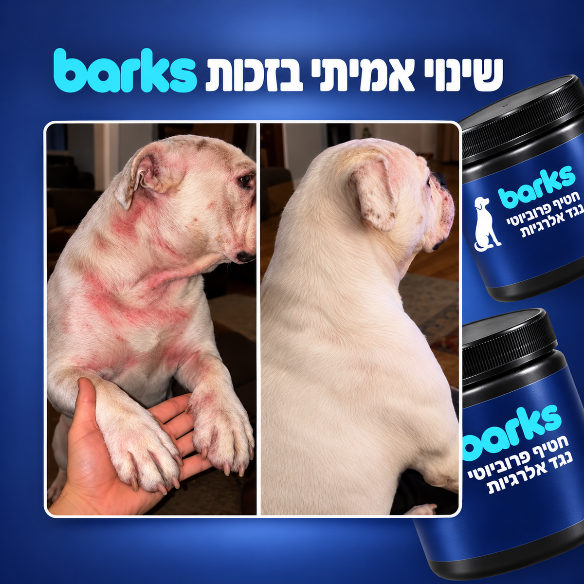 החטיף הפרוביוטי של barks