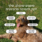 החטיף הפרוביוטי של barks