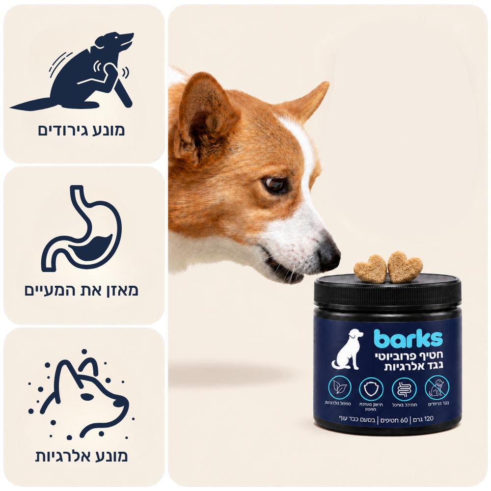 החטיף הפרוביוטי של barks